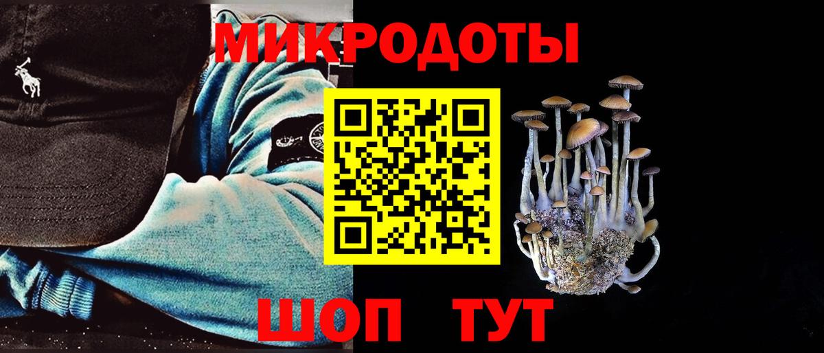 Псилоцибиновые грибы прущие грибы Полысаево