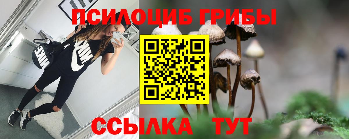 Полысаево  Галлюциногенные грибы прущие грибы  где продают   Вход с VPN 